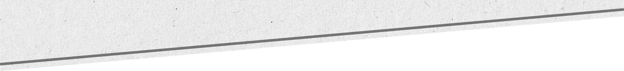 bottom-bg-greyline